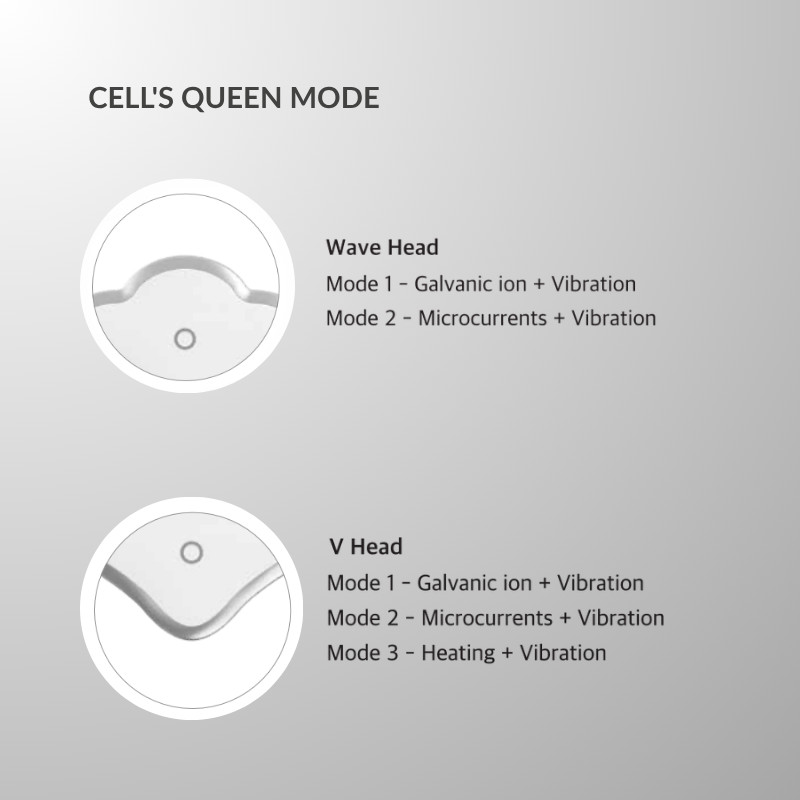 CELIGIN Cell's Queen (61gm) - Product view